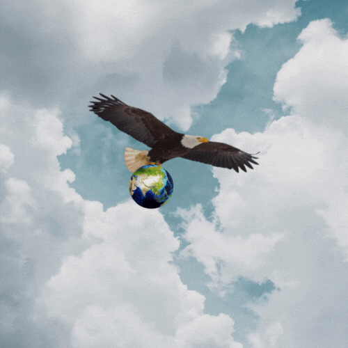 Manisukh Exports and Imports Private Limited